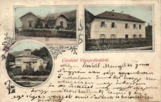 Vihnyefürdő, Vyhne; Gecsányi-villa, Dvihali-villa, floral (r)