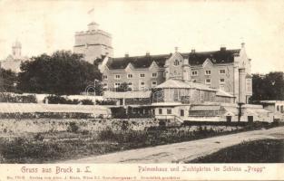 Lajtabruck, Bruck and der Leitha; Pálmaház, Faiskola, Prugg kastély / Palmenhaus, Zuchtgärten, Schloss / palm house, nursery garden, castle (r)