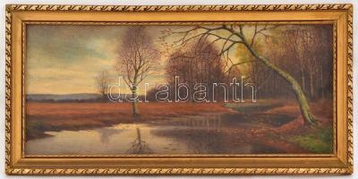 Olvashatatlan jelzéssel: Vízpart ősszel, olaj, vászon, fa keretben, 26×62,5 cm