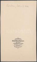 cca 1880-1900 Keményhátú kabinetfotó "Szeber, Louis von" felirattal, Bertha Wehnert Beckma...
