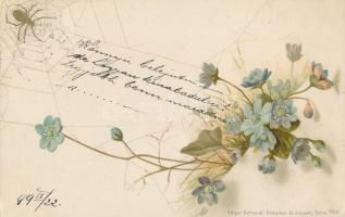 1899 Floral greeting card, spider, litho (EK)