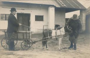 Pony-cart, photo