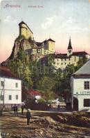 Árvavára, Schloss Árva, Steindl üzlete; kiadja Feitzinger Ede No. 247. / castle, shop
