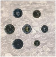 2008. 1Ft-100Ft 7xklf darabos forgalmi sor "Búcsú az egy- és kétforintostól" dísztokos sze...