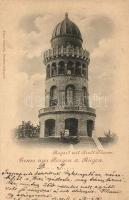 Bergen auf Rügen, Rugard, Arndt-Thurm / tower (EK)