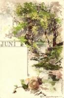 Juni, June; landscape, M. Seegers Monatsgrüsse, litho s: T. Guggenberger