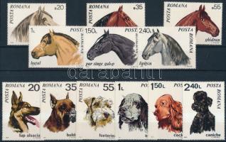 1970-1971 Animals 2 sets, 1970-1971 2 Állat sor: Ló és kutya