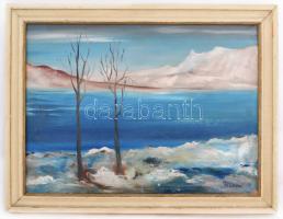 Mcp jelzéssel: Tájkép. Olaj, vászon, keretben, 50×70 cm