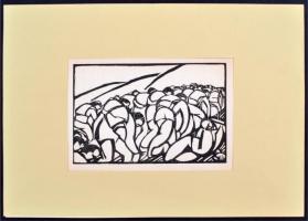 cca 1920 Csöre Erzsébet (1896-?): Hajszoltság, fametszet, papír, jelzés nélkül, paszpartuban, 10x15c...