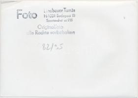 cca 1950-1960 Linzbauer Tamás: Vágánygépkocsi(sínautó), pecséttel jelzett fotó, egyik sarkán törésny...