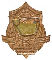 Szovjetunió 1980. "25 éves a Varsói Szerződés" aranyozott, zománcozott fém jelvény (48x41m...