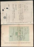 1929 Kivándorlási engedély magyar állampolgár részére Argentínába. / 1929 Emmigration licence for Hungarian to Argentina