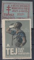 1946 TEOSZ + A tej élet, erő, egészség, egészségügyi bélyegek