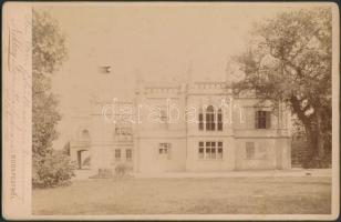 cca 1900 A martonvásári kastély parkjában, 2 db keményhátú fotó, feliratozva, 13x21 cm