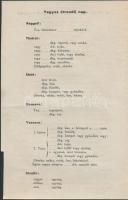 cca 1930 A Pesti Izraelita Hitközség Kórházának Belgyógyászati osztálya által kiadott, kitöltetlen c...