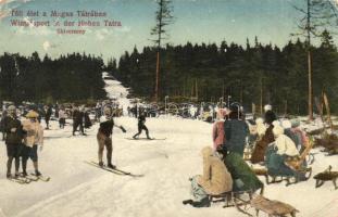 Tátra, téli élet a Magas Tátrában, síverseny / winter sports in Tatra mountain, ski contest (EK)