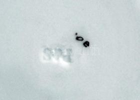 Chodov (Chodau) P&S mokkás csésze és alj, kézzel festett, jelzett, hibátlan