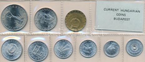 1981. 2f-10Ft 9db klf érmés forgalmi sor fóliatokban T:1