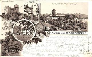 1899 Hadersfeld, Greifenstein Ruine, Alois Aigner&#039;s Gastwirtschaft, Obelisk, Schloss in Hadersfeld / castle ruins, guest house, floral litho