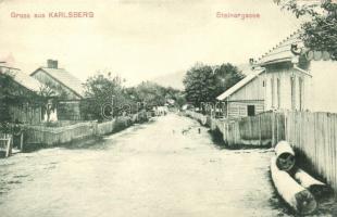 Carlsberg, Karlsberg; Steinergasse / street