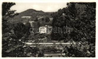 Csucsa, Ciucea; Ady kastély / castle