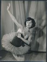 cca 1960 Kotnyek Antal (1921-1990) fotóriporter jelzés nélküli vintage fotója hagyatékából, 24x18 cm