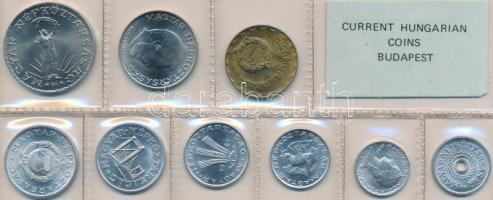 1981. 2f-10Ft 9db klf érmés forgalmi sor fóliatokban T:1