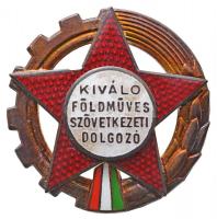 1966. &quot;Kiváló Földműves Szövetkezeti Dolgozó&quot; zománcozott kitüntető jelvény eredeti dísztokban, adományozói okirattal T:2