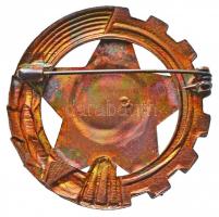 1966. "Kiváló Földműves Szövetkezeti Dolgozó" zománcozott kitüntető jelvény eredeti díszto...