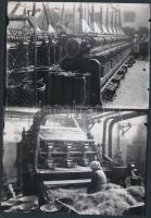 cca 1935 Magyar Kender- Len és Jutaipar Rt. újszegedi gyártelepén készült képriport, Lőcsei Árpád ke...