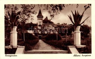 4 db RÉGI városképes képeslap, Kárpátalja, 3 Beregszász és 1 Nagyszőlős / 4 old town-view postcards,...