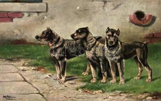 Dogs, Theo. Stroefer Serie 537. Nr. 8. s: Schönian