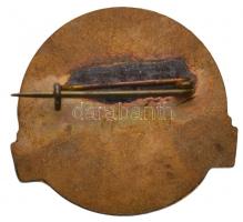 ~1980. "Az Egészségügy Kiváló Dolgozója" zománcozott fém jelvény nem hozzávaló tokban (32m...