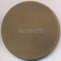 1976. "Országos Korányi TBC és Pulmonológiai Intézet - 1901-1976" Br emlékérem (40mm) T:2