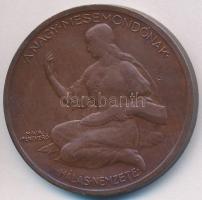 Berán Lajos (1882-1943) 1925. "Jókai Mór - A Nagy mesemondónak hálás nemzete" Br emlékérem...