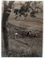 cca 1935 Osoha László: Feldarbeit, feliratozott vintage fotóművészeti alkotás, 40x29 cm