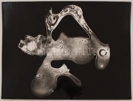 cca 1970 Dr. Sándor Lajos: Izopiknikus metadína, feliratozott vintage fotóművészeti alkotás, 40x30 cm