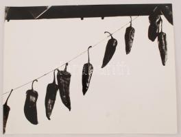 cca 1960 Paprikás hangulat, jelzés nélküli vintage fotóművészeti alkotás, 30x40 cm