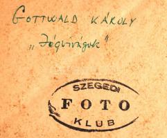 cca 1960 Gottwald Károly: Jégvirágok, feliratozott vintage fotóművészeti alkotás, kasírozva, 24x40 c...