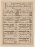 Németország / Weimari Köztársaság 1923. "Délnémet Bányászati Részvénytársaság" részvénye 5...