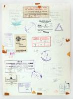 cca 1960 Medgyesi László (Kecskemét): A tél virága, feliratozott, kiállítási emlékpecsétekkel elláto...