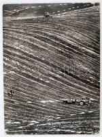 cca 1970 Zsigri Oszkár: Lucerna betakarítás, pecséttel jelzett, aláírt vintage fotóművészeti alkotás, kasírozva, 39x29 cm