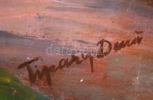 Tipary jelzéssel: Fő tér. Olaj, farost, restaurált, 67×49 cm