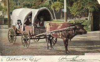 The Overland Oxpress, cart, American folklore (EK)