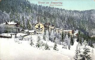 Semmering, Hotel Panhaus, winter (EK)