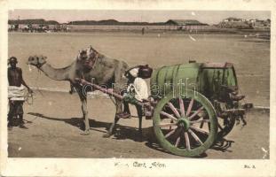 Yemen folklore from Aden, water cart