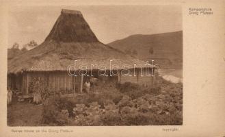 Dieng Plateau, native house (small tear)