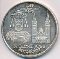 Fritz Mihály (1947-) 1988. "MÉE - Csongrád megye / A Szent Jobb Szegeden" Ag emlékérem (35...