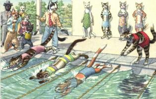 Cats at swimming competition, Max Künzli No. 4769.