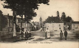 Belleme, Rue d&#039;Alencon, Berthier Hotel de la Boule d&#039;Or / street, hotel